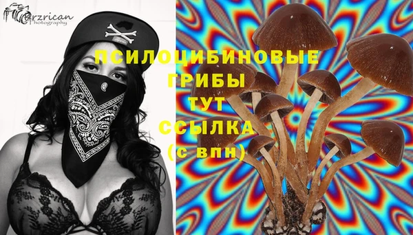 крисы Бугульма