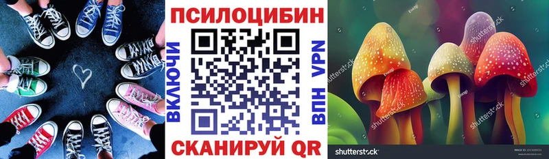 Галлюциногенные грибы Magic Shrooms  Тула 