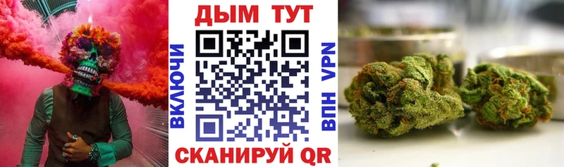 где продают наркотики  Тула  Каннабис семена 